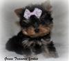 Bambi's 9 weeks old-bambie9weeksdsc_0262.jpg