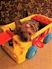 Heidi in her wagon-heidi-wagon2.jpg