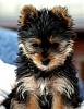 One Ear Up-dsc_1691.jpg