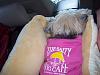 Bella~the Salty Dog-bellahhi6.jpg