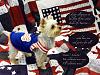 Tallulah's Independence Day Greeting-toodles-independence-small.jpg