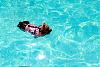 Bijou learning to swim-img_6673.jpg