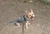 Jackson is the king of Little Round Top in Gettysburg-img_2495.jpg