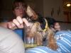 Let's see your tongue pictures!-100_0601-600-x-450-.jpg