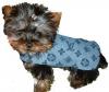 Hi! I'm new here and this is my yorkie.-web-blue-lv-2.jpg