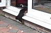 And then there were three-dsc_3371a.jpg