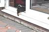 And then there were three-dsc_3376a.jpg