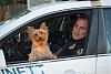 The New K-9 Unit-dsc_0030.jpg