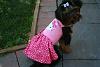 Pyper in Hello Kitty Dress & Playing Outside!-img_9217.jpg