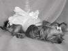 B&W of my babies-lexi-tori-029.jpg