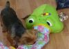 Chantal and Comet-profile-picture.jpg