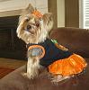 Happy "Howl"-oween-halloween11c-copy.jpg