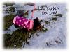 Katie Scarlett's First Snow-tna.jpg