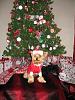 Ready for Christmas!-img_2955.jpg