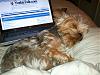 Kaos fell asleep...-mail123.jpg