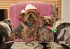 Merry Xmas from Bently and Porsche-bandpxmas3.jpg