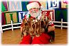 All 3 with Santa...-jennifer-munson-photography-5634.jpg