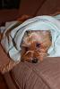i'm a NOT a morning person!-dsc_0003.jpg