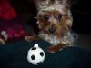 Simon Samuel and The Soccer Ball!-100_0449.jpg