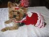 Trixie is ready for the Valentine's Ball!!-trixie-valentines-day-2012-ty2.jpg
