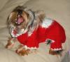 Let's see your tongue pictures!-lopenmouth.jpg