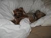 Max & Teddy outtakes-sleepy-teddy.jpg