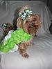 st patrick day pics-012.jpg