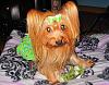 Destiny's 6th Birthday!!-destiny-605_890x692.jpg