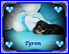 From the beginning-tyron_3_and_half_weeks_old_-4-.jpg