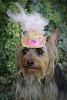 Easter Hats-img_3321-1.jpg