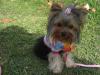 Ivy's 1st B-Day Pics-img_0456.jpg