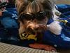 Doggies in their Doggles-photo04071848-475x356-.jpg