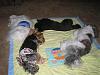 Show your babies sleeping-picture-1512.jpg