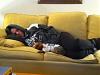 Show your babies sleeping-me-jack-sleeping-couch-600-x-450-.jpg