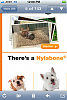 Avery Made the Nylabone Newsletter!-photo.png