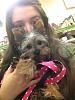 Coco the Yorkie!-480235_10150971713935477_704405476_12067154_1337536524_n.jpeg