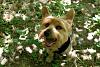 Frisbee & Farmland - another Jackson dump-img_4617.jpg