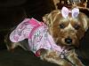 Callie's birthday pictures-cb4.jpg