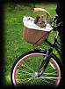 On A Bicycle Built For Two-3.jpg