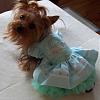 Pretty as a Princess-barkley-2.jpg