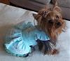 Pretty as a Princess-barkley-3.jpg