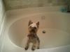 Bath time???-luigi-brasco-162.jpg
