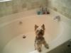 Bath time???-luigi-brasco-163.jpg