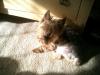 Weeg basking in the sun!!!!-luigi-brasco-164.jpg