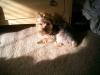Weeg basking in the sun!!!!-luigi-brasco-168.jpg