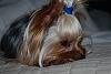 Love the Profiles-dsc_1077.jpg
