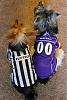 Sophia and Brody are ready for some football!-img_9880.jpg