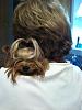 Yorkie Hugs-img_0955.jpg