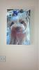 My new wall art :)-bella-canvas-450x800-.jpg