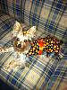 My little Pumpkin....thanks RachelandSadie!-hope-pumpkin-dress-oct-2012.jpg